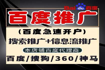 百度竞价广告成功案例：如何实现ROI最大化